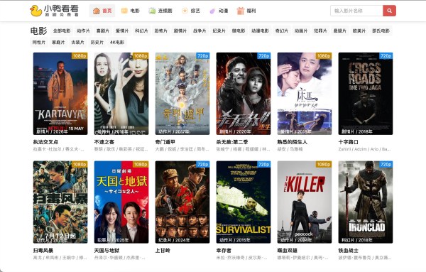 小鸭看看