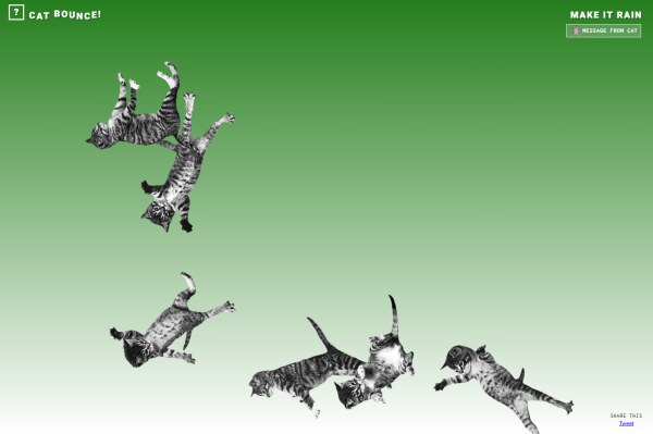 Cat Bounce