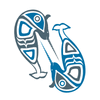 Narwhal