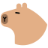 水豚hub